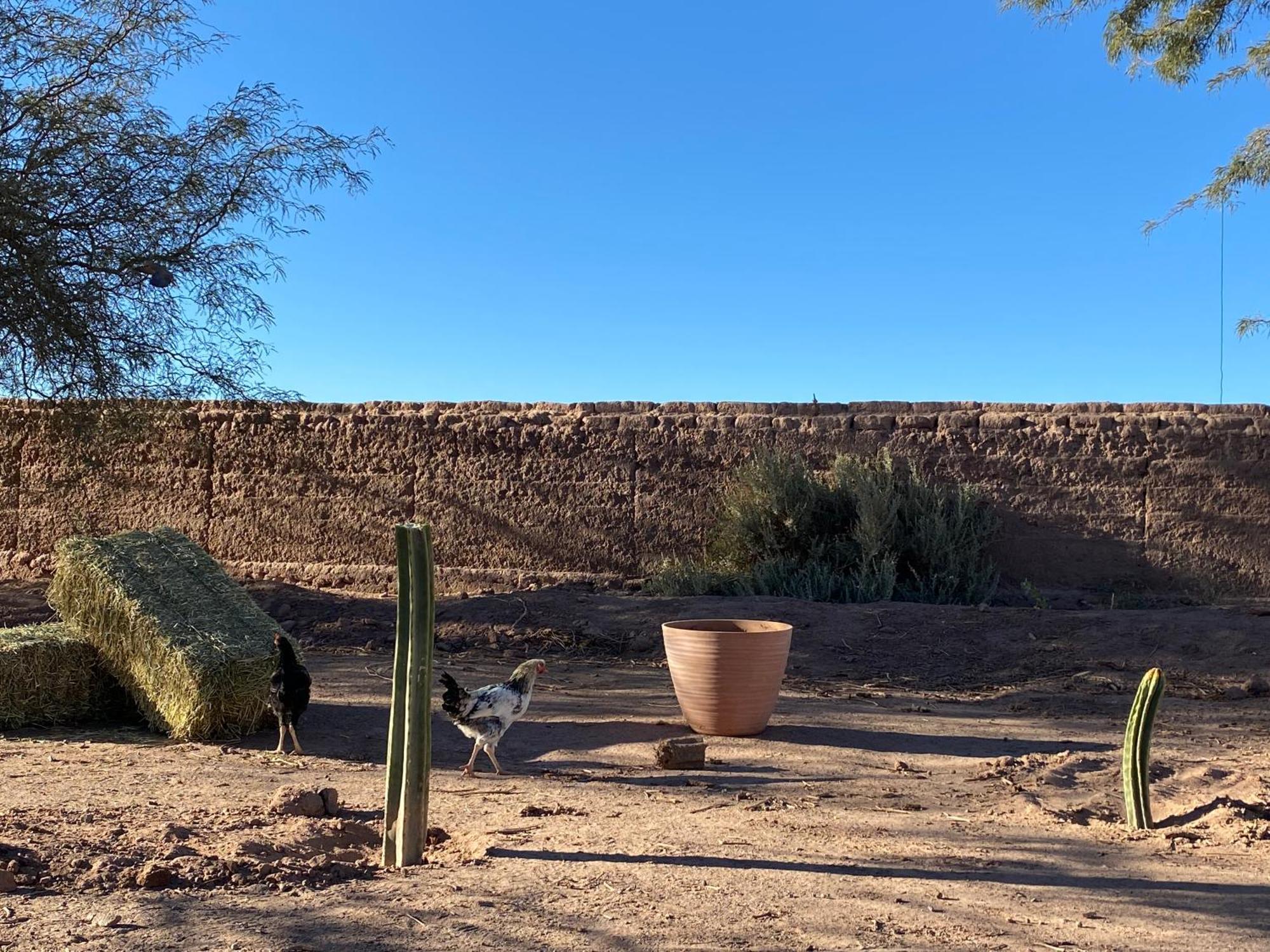 Cabanas Voyage Atacama San Pedro de Atacama Exterior foto